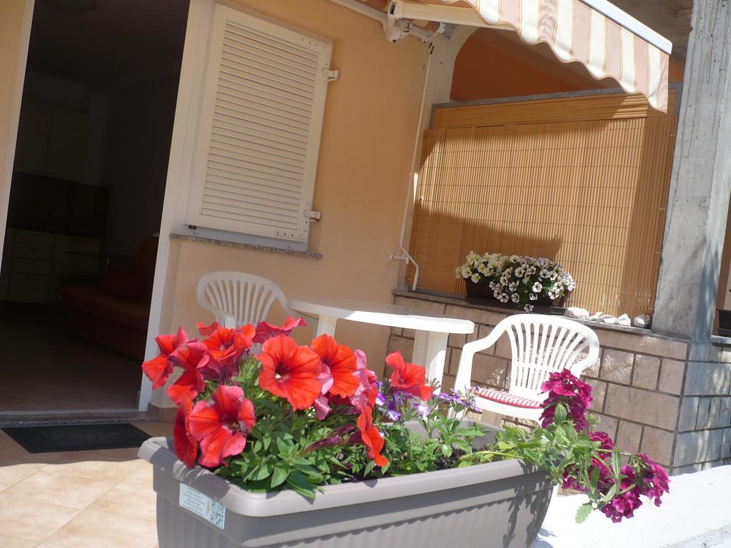 Apartmani Ruza Novaglia Esterno foto